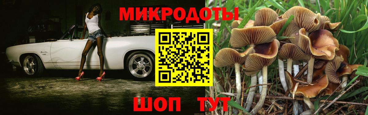 Галлюциногенные грибы прущие грибы Мурманск